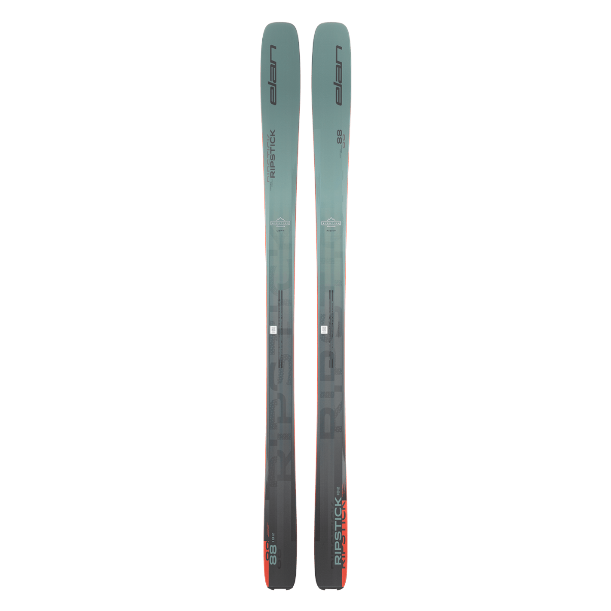 Ski Elan Ripstick 88 2026