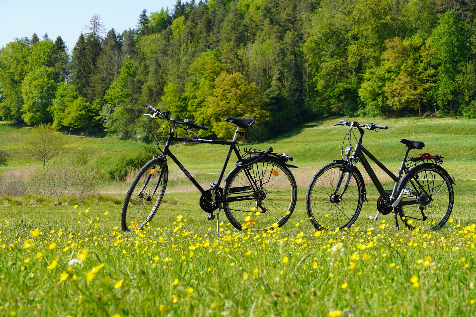 Quelle taille de vélo choisir ?