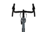 Marin Gestalt 2